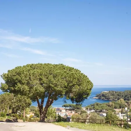 Monolocale Excellence - Goelba Appartamento Capoliveri (Isola d'Elba)